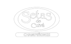 Setas